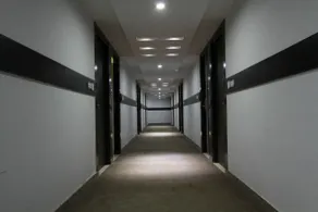 Usha Kiran - Image 4