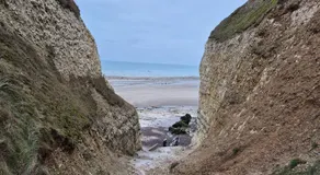 Oasis Entre Terre et Mer - Image 5