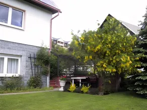 Ferienwohnungen Haseloff - Image 4