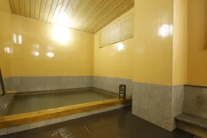 Japanese Style Hotel Sanga - Image 4
