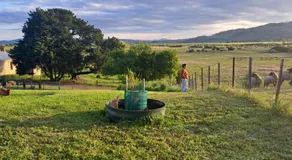 Heartland cottage - Image 5