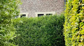 A little Peace and Quiet - Image 5