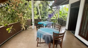 Windy Garden - Image 3