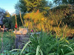 Studio-LickeyHills-NearAttractions-Garden-1 Pet Ok - Image 5