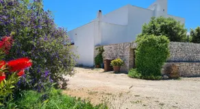 Masseria Puglia Antica - Image 4