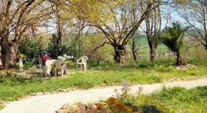 Agriturismo Campo Aperto - Image 5
