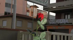 Residence I Due Pini - Image 5