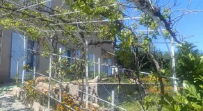 Hysope - Image 3