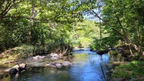 Hunugal Pokuna Nature Resort - Image 3