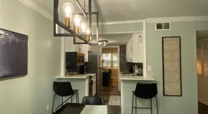 HHI Homes- Newly Renovated Cozy Modern Pet-Friendly Villa-Ideal Location - Image 2