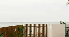 Pappou Studios - Image 3