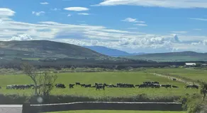 Reenconnell Dingle - Image 5