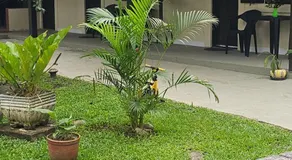 Pousada Paraíso Guapi - Image 5