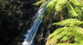 Goldberryaccommodation - Image 3