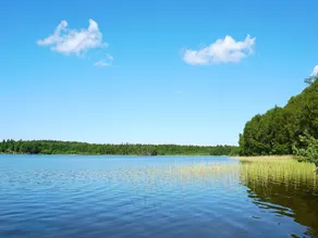 4 person holiday home in RIMBO - Image 4