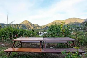 Villa Strawberry Sembalun - Image 3