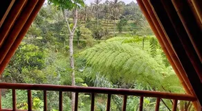 Second Home Bungalows - Image 4