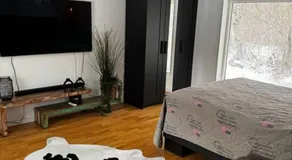 Mysigt hus på 40 kvm i Målaskog - Image 2