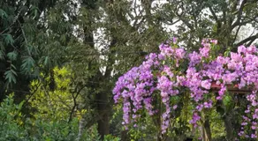 Aashiyana Residency - Image 5