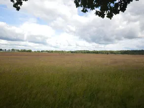 Restful Holiday Home in Lemele - Image 4