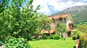Finca Artienza - Image 5