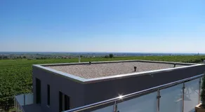 Gästehaus Rebenhof - Image 3