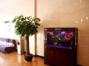 7 Days Inn Longyan Shanghang Zijin Road Branch - Image 3