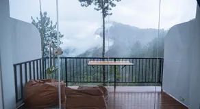 Belmount Ella - Image 4