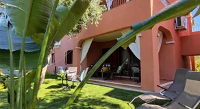B&B GUACAMAYO - Image 3