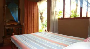 Rural Jungle Backpackers Hostel - Image 2