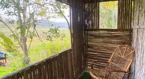 Lotus Jewel Forest Camping - Image 3
