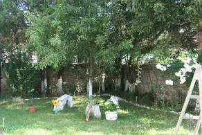 Casa Bezdead - Image 2