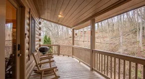 Cozy Cabin Retreat: Tiny Trotter - Image 5