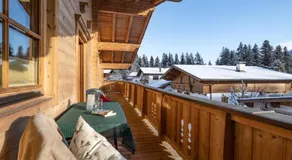 Ferienwohnung Steiner in Scheffau - Image 3