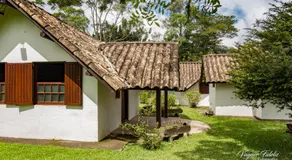 Vale dos Eucaliptos - Image 4