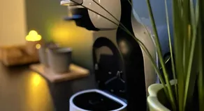 Suite 11 - Image 4