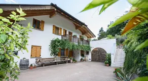 La Vinea - Image 5