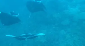 Bora Bora ou Maupiti sur un voilier - Image 5
