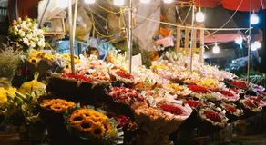 Van Hoa Boutique Hotel - Image 5