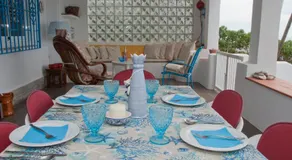 Sargantana Blava - Image 4