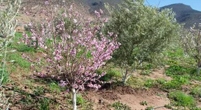 Gite Amani Guest House - Image 4