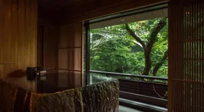 Yamanakaonsen Hanamurasaki - Image 4