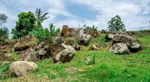 Etana Cottage Kakamega - Image 4