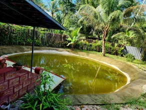Ira Marari-An escape to tranquility - Image 3