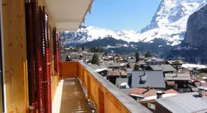 Chalet Schönbühl - Image 3