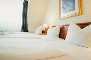 Altstadt Hotel St. Georg - Image 4