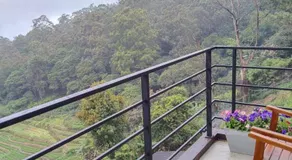 Icy Falls - Ohiya - Image 5