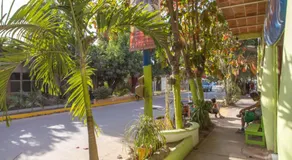 LA SELVA - Image 5