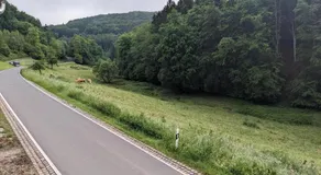 4 persons wohnung in de Eifel - Image 4