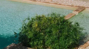 Les jardins de Silona, piscine chauffée - Image 3